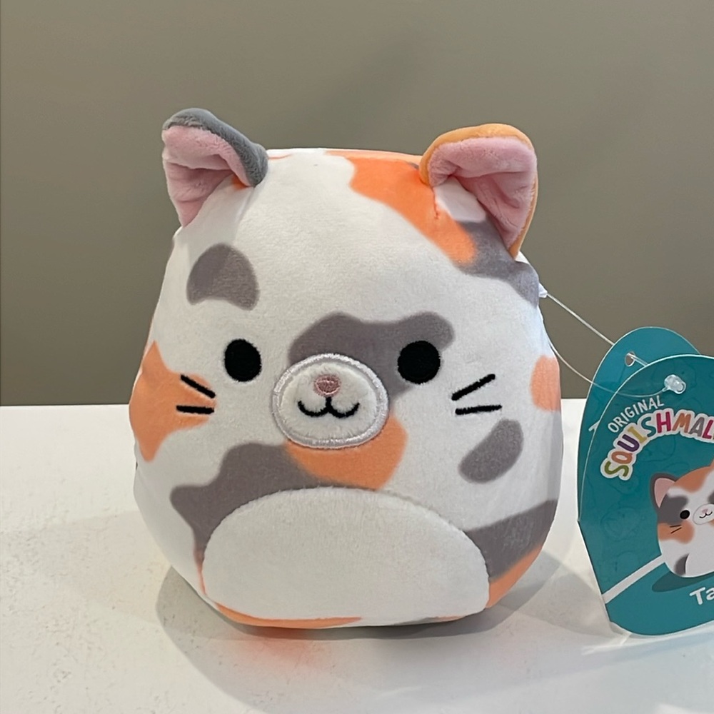 ⚡️NWT 5” Tahoe the Calico Cat Squishmallow